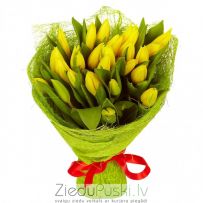 Pavasara pušķis nr 6: Весенний букет 6: Spring flower bouquet 6. gab. 52.50 €