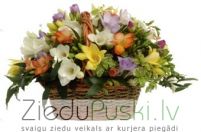 Frēziju groziņš:Корзина с фрезии. gab. 58.00 €