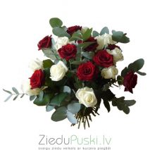 Sarkans + balts: Красный + Белый. gab. 78.00 €