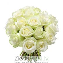 21 balta roze: 21  белая роза. шт. 59.00 €