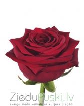 Sarkanas rozes: Красные розы. gab. 3.90 €