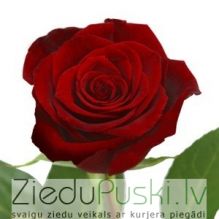 Garas sarkanas rozes: Длинные красные розы. шт. 4.80 €