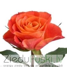 Zaļumi pie ziediem: Зелень. gab. 7.00 €