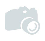 Baltas frēzijas: розы. gab. 2.00 €